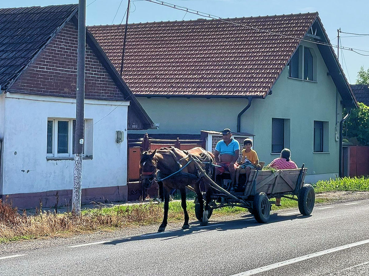 Pferdefuhrwerk Pferdefuhrwerk