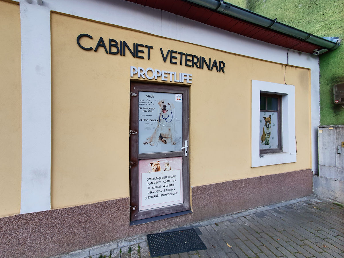 Tierarztpraxis in Bistrita Tierarztpraxis in Bistrita