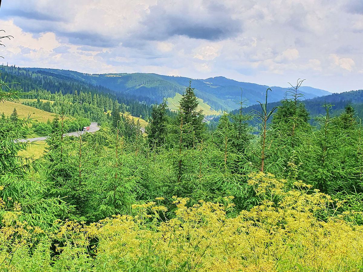 Aussicht an der E576 Aussicht an der E576