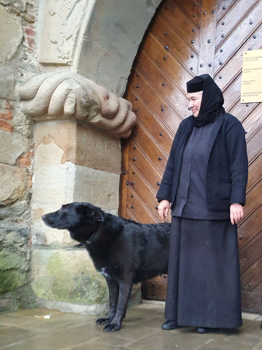 Der Klosterhund Der Klosterhund