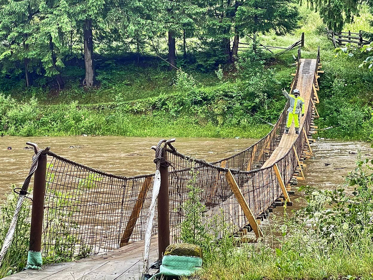 Knut auf der Brücke Knut auf der Brücke
