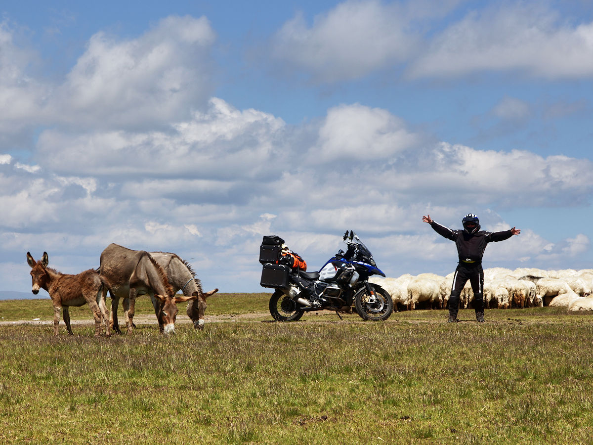 Knut ist glücklich Knut ist glücklich