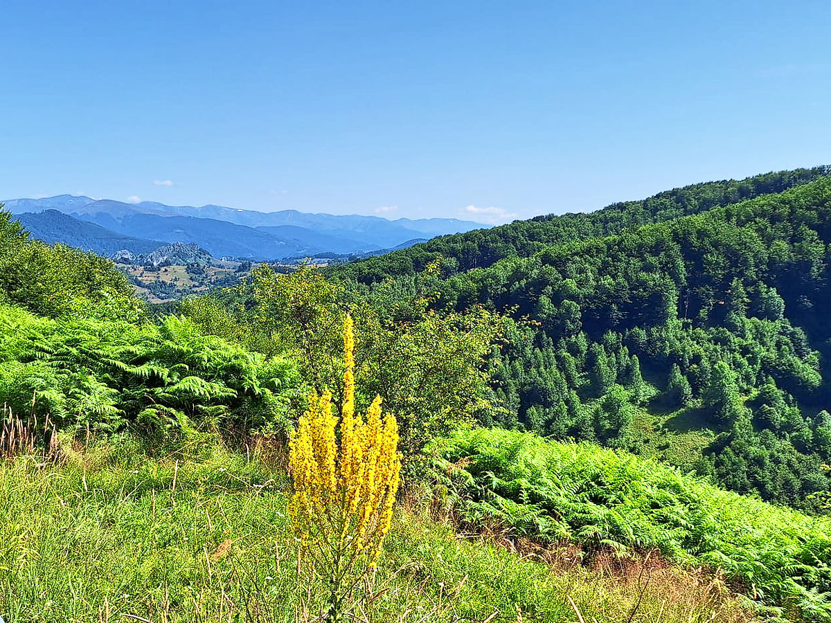 Blick in die Berge Blick in die Berge