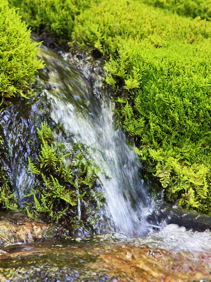 Wasserfall Wasserfall