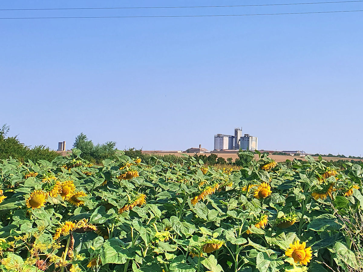 Landwirtschaft Landwirtschaft