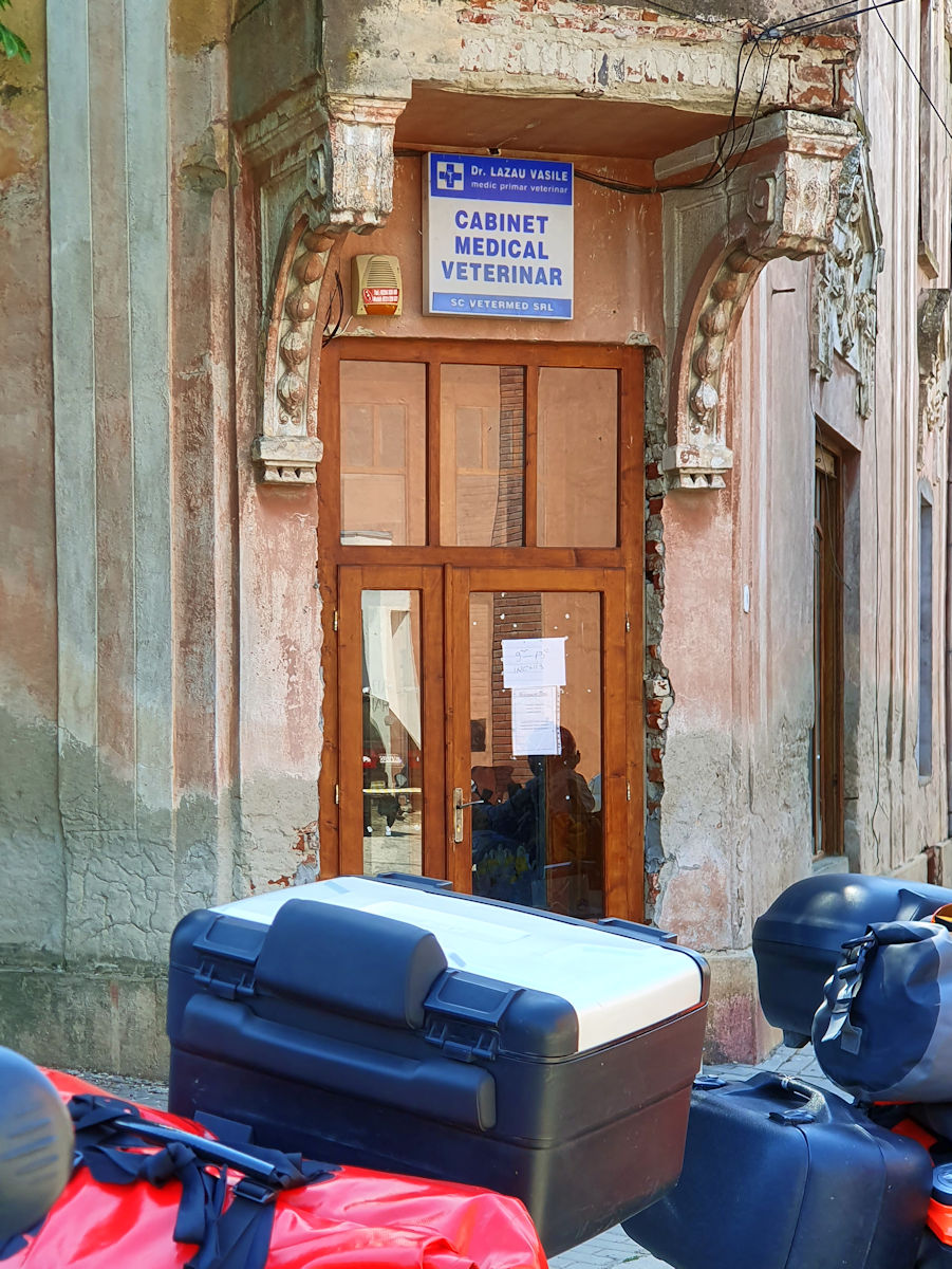 Veterinär Veterinär