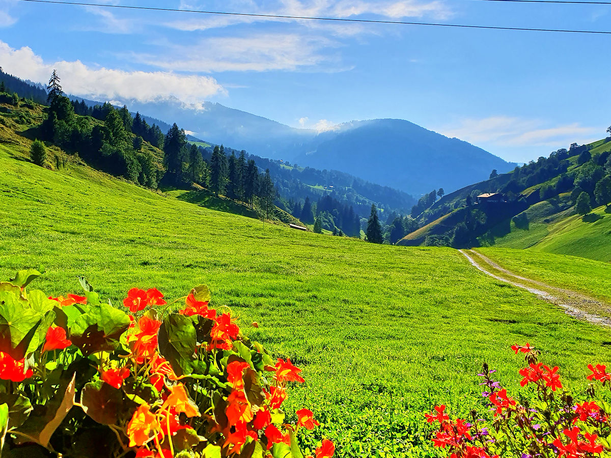 Abendsonne Abendsonne